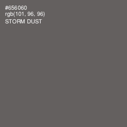 #656060 - Storm Dust Color Image